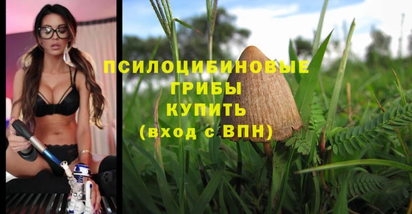 ECSTASY Баксан