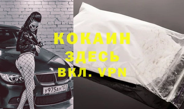 винт Алексин