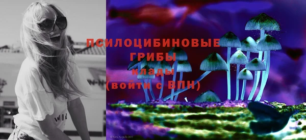 хмурый Арсеньев