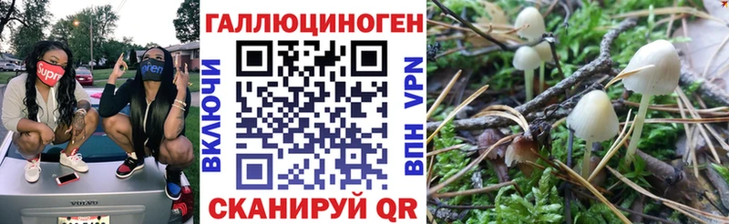 наркотики  Буй  Галлюциногенные грибы MAGIC MUSHROOMS 