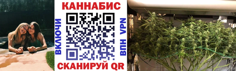 Марихуана план  наркотики  Буй 